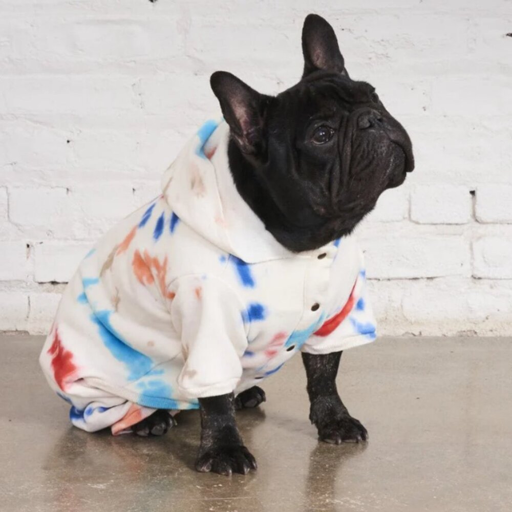 Tie-Dye Dog Hoodie